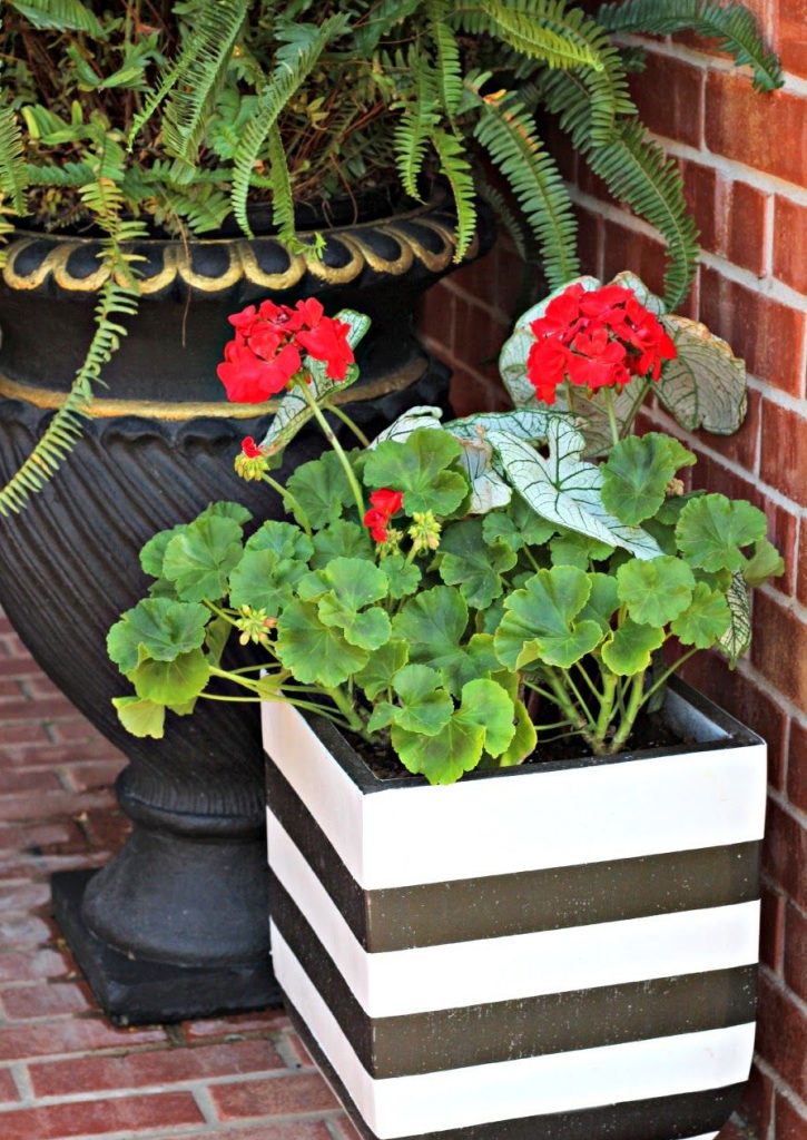 Black and White Striped Flower Pots