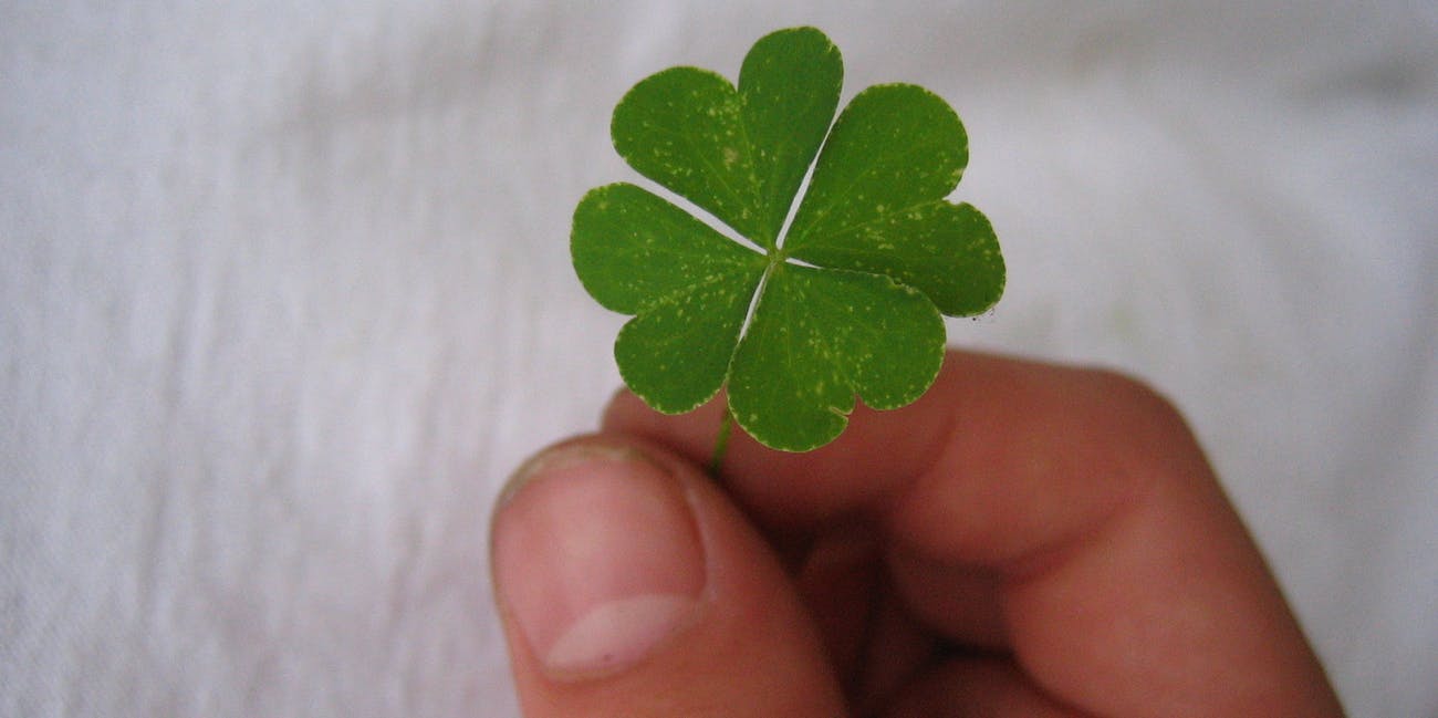 Four Leaf Clover