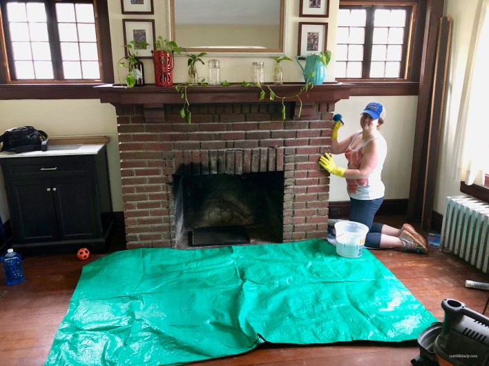 Fireplace Cleaner