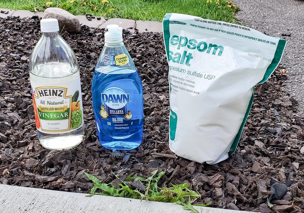 Naturally Kill Weeds