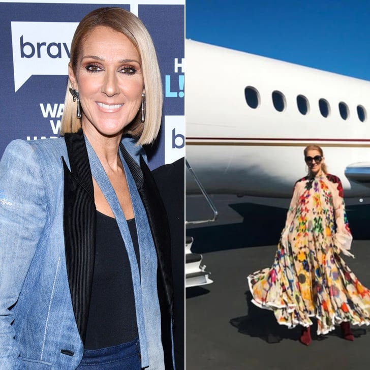 Celine Dion’s Estimated $42 Million Bombardier Global Express