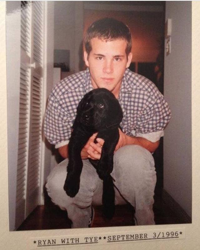 Ryan Reynolds Holding A Puppy, 1994