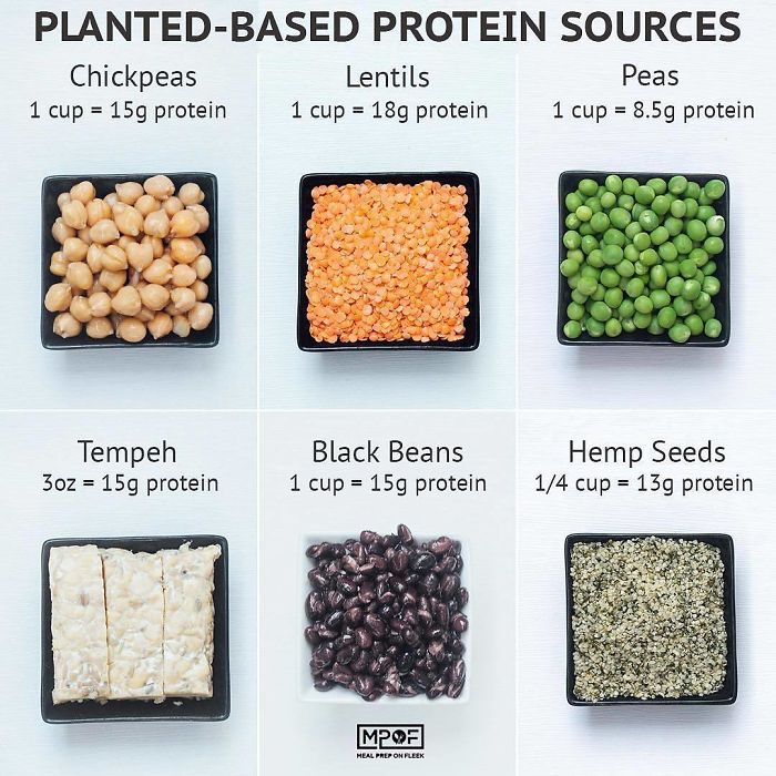 Plant Based Protein Sources