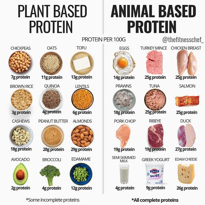 Protein Sources