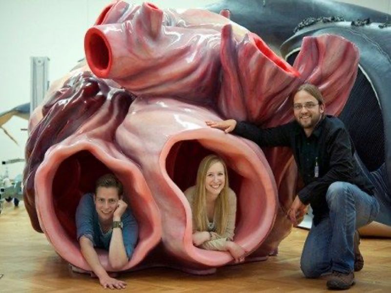 World's Largest Heart