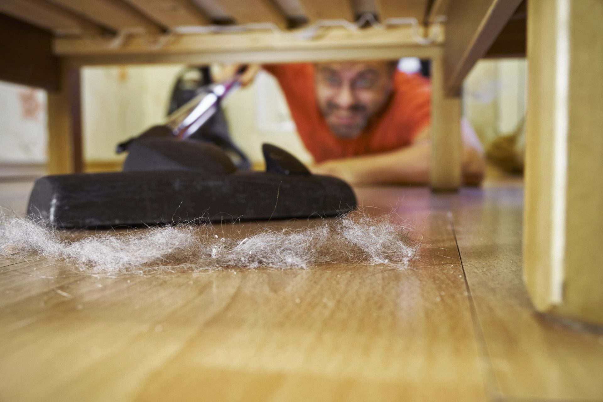 You can use a hair dryer to remove dust bunnies from under the bed