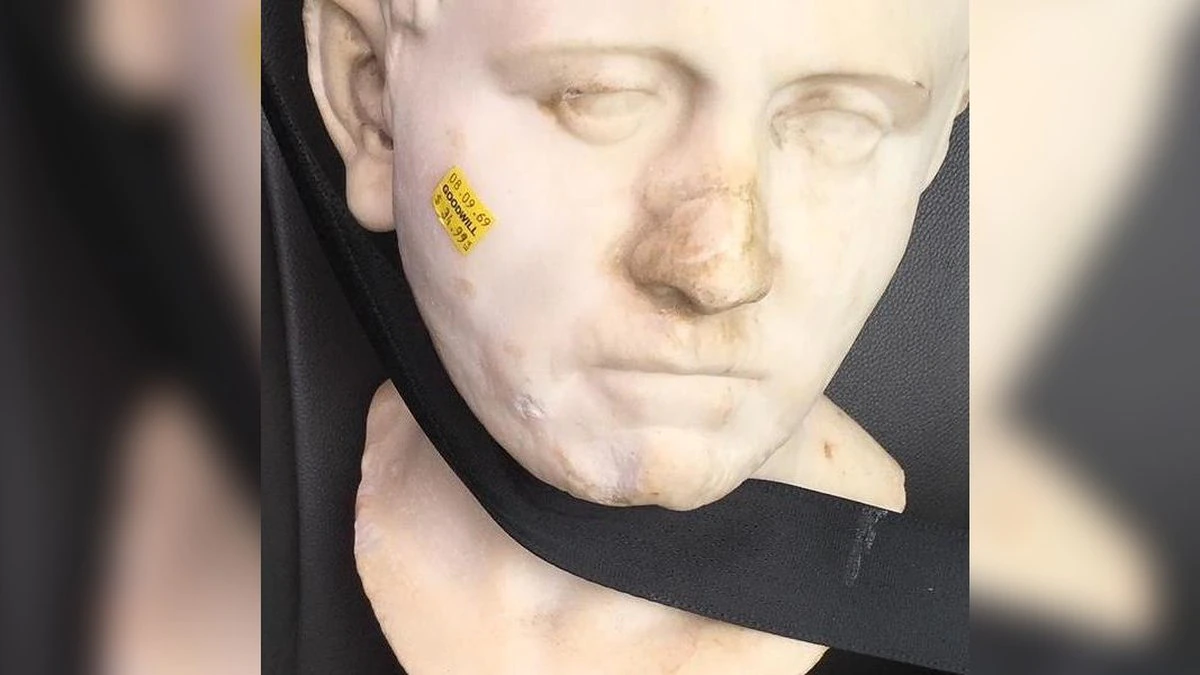 The Bust Was Sold To Young For Just $34.99