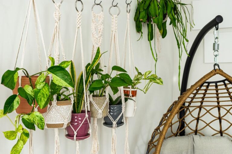 Add Some Hanging Plants To Your Ceiling With This Easy Trick | Crafthought