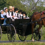 Everything You Never Knew About The Amish And Their Culture | Crafthought