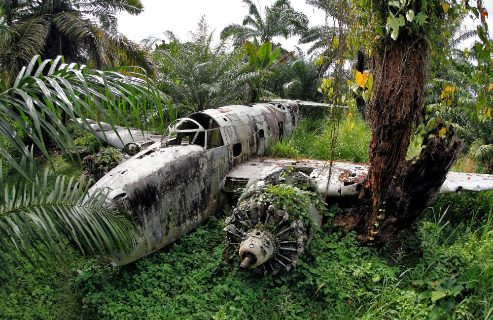 17. WWII Plane in Jungle