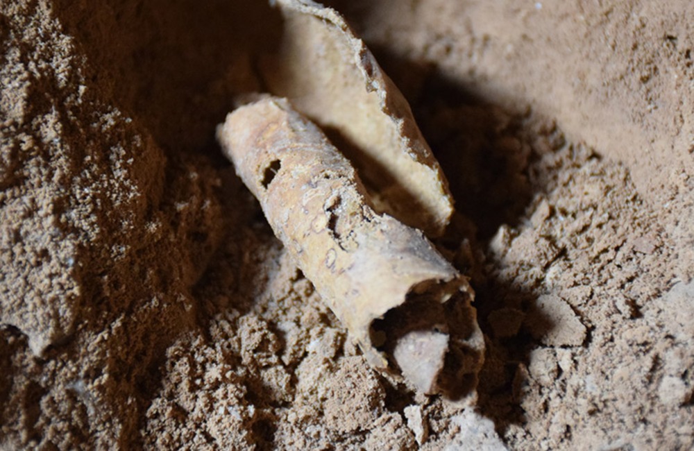 30. Dead Sea Scrolls