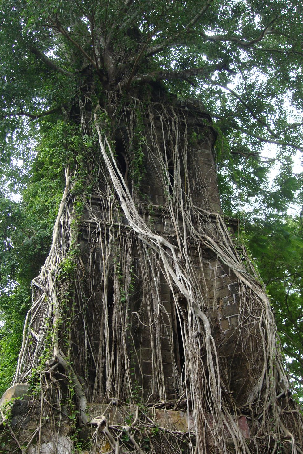 Ross Island, India