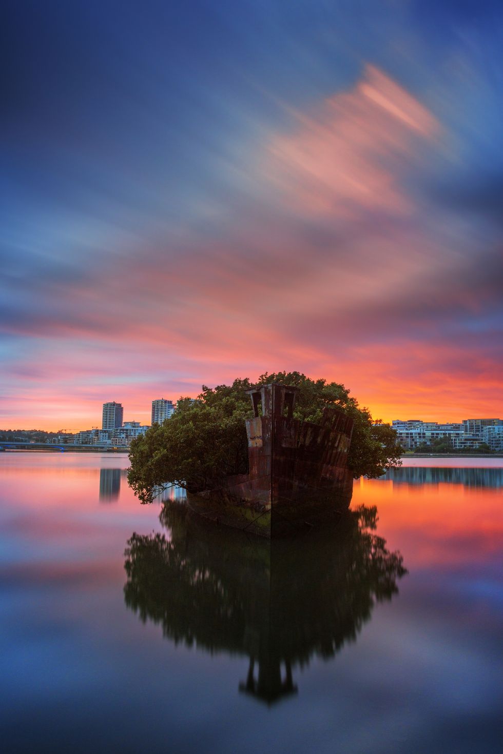 The Floating Forest, Australia