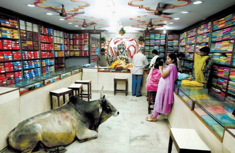 Bull In A Fabric Shop